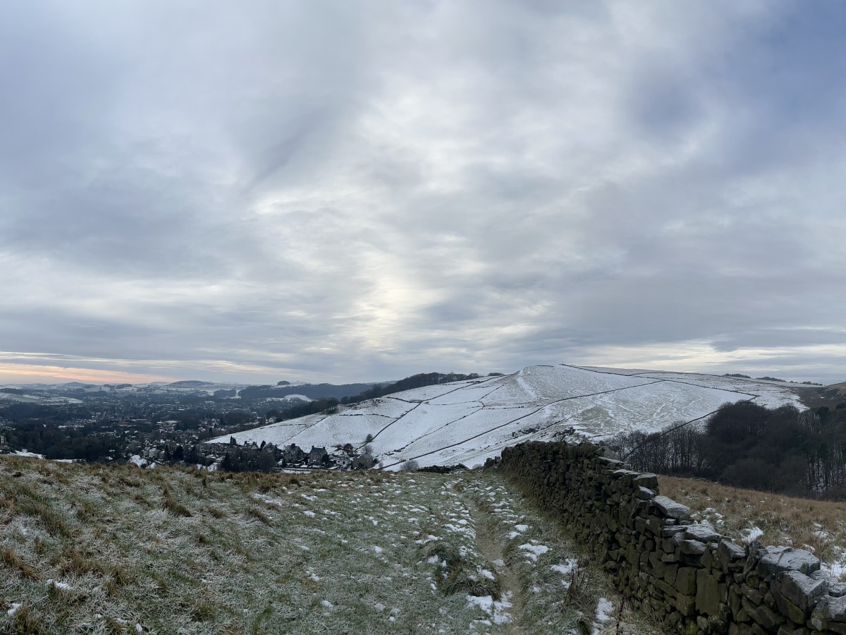 Lightwood wintering and ‘edges’