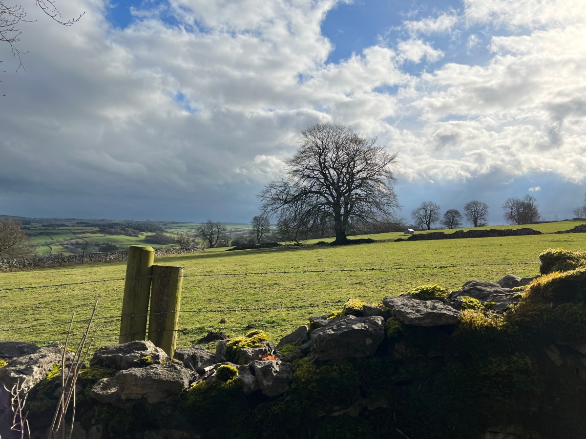 Cathkill Dale, sinkholes and timetabled&nbsp;cows